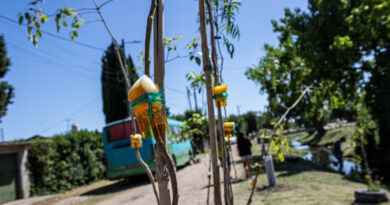 ALTE BROWN TRANSFORMÓ OTRO MICROBASURAL EN UN NUEVO ESPACIO VERDE