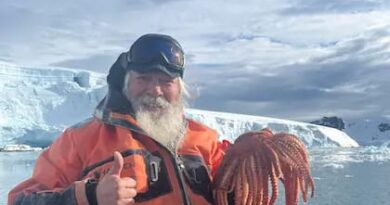 Aprender, viajar y empezar de nuevo: el fenómeno de los argentinos +50 que estudian idiomas afuera