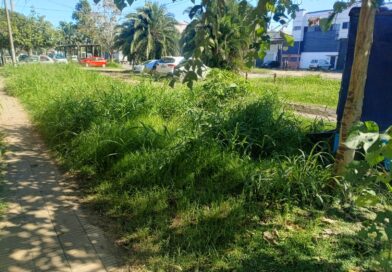 Vecinos piden limpieza de pastizales en la avenida Pasco