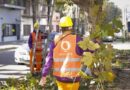 COMENZÓ EN QUILMES EL PLAN INTEGRAL DE PODA CORRECTIVA Y RESPONSABLE 2026