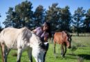 EVA MIERI Y FUNCIONARIOS MUNICIPALES VISITARON LA ONG CABALLOS DE QUILMES QUE REALIZA UNA IMPORTANTE LABOR DE RESCATE EN LA CIUDAD