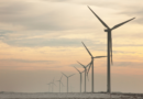  DÍA MUNDIAL DEL MEDIO AMBIENTE 