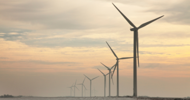  DÍA MUNDIAL DEL MEDIO AMBIENTE 